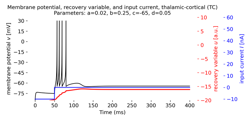Thalamic-cortical (TC) neuron simulated using the Izhikevich model.